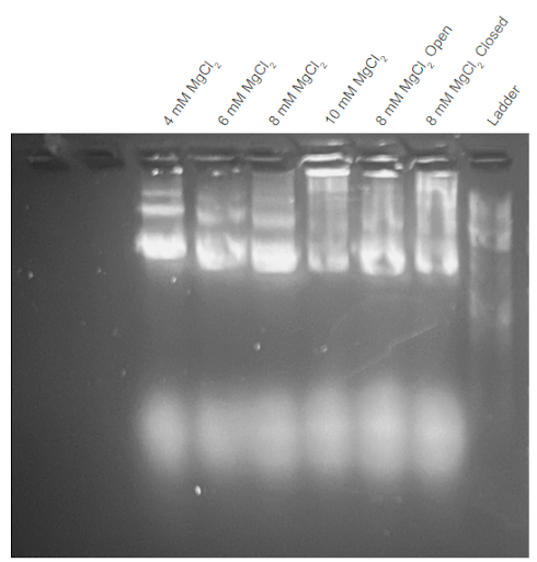 Appendix 2.1