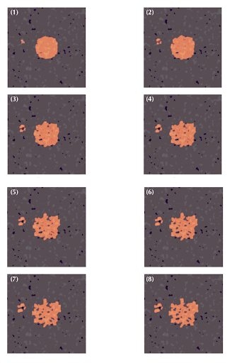 A model of drug transport