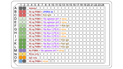 ELISA 2 Plate Setup